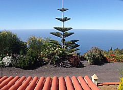 2011_Blick vom Dach der 'CASA CONCHITA' Richtung Meer; rechts neben der Tanne ein gem�tliches Holztischchen mit 2 kleinen Sitzb�nken; herrlicher Platz, insbesondere bei Sonnenuntergang