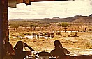 TANSANIA 1971_'Lake-Manyara-Lodge'_ Whisky-schl�rfen und Elefanten beobachten_Jochen A. H�bener
