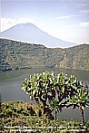 1991/92_RUANDA_Virunga_camping on top of the Visoke_view to Karisimbi 45OO m_what a view !