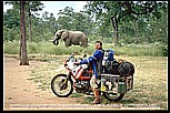 1991_Zimbabwe_close to the border to Zambia_my "3 elephants"-photo: elephant, motorbike, Jochen_what an experience, what a feeling ! _my motorcycle-trip 1990-91 Nairobi-Capetown_Jochen A. H�bener