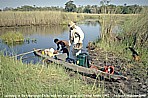BOTSWANA_Okavango-Delta_what an adventure_ here: my good old friend Andr�_backpack-trip through Eastern-, Central- and Southern AFRICA 1991-92 with Andr� Zeidler_Jochen A. H�bener