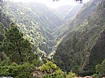 der urspr�ngliche, gewaltige, wilde 'Barranco de Garome' im Nordwesten v. 'LA PALMA'