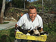 ... gar nicht so leicht, die Balance zu halten, bei den Unruhegeistern ... Jochen mit den  5 jungen K�tzchen 'Menos-blanca', 'Tranquilita', 'Mas-blanca', Tranquilito' und 'Negrita' auf dem Gel�nde der casa Jochen in Todoque, Isla LA PALMA 2009 