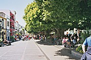 gem�tliches Relaxen auf der 'Plaza de Espa�a' im Zentrum der 'heimlichen' Hauptstadt v. LA PALMA, in 'Los Llanos de Aridane', in den 2 Strassen-Caf�s, unter indischen Lorbeerb�umen ...