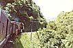 ... das Top-Highlight f�r mich in COSTA RICA_abenteuerliche Western-Eisenbahnfahrt von der Hauptstadt San Jos� �ber die Berge, durch Dschungel und Savanne_nach Puerto Lim�n an der Karibikk�ste_1974