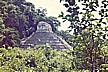 Kulturschnuppern stand nat�rlich auch auf der Tagesordnung _ hier PALENQUE_ansonsten Teotihuacan, Monte Alban, Uxmal, Chichen Itz� etc._MEXICO 1974 