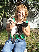 Conchita mit den sp�teren Katzen-Eltern 'Tranquilo' und 'Artista' auf dem Gel�nde der casa Jochen in Todoque, Isla LA PALMA 2008 