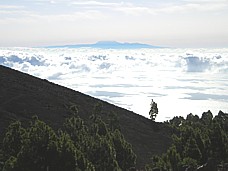Auf der langen, aber sehr reizvollen Wanderung entlang des Kamms der Insel 'La Palma', entlang der sogen. 'Ruta de los Volcanes', Blick hin�ber zur kanarischen Insel 'Teneriffa'_2007