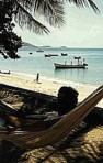  ... diese Aussicht ... von der H&auml;ngematte aus ... den gan- zen Tag �ber ... tagelang ... einfach fantastisch ... Isla Margarita, VENEZUELA_Jochen 1984