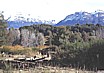 ... nach dem Skilauf in der Umgebung von SAN CARLOS de BARILOCHE und der Schiffsreise auf dem NAHUEL HUAPI zum Abschlu� noch wandern und reiten im Nationalpark 'NAHUEL HUAPI'_ARGENTINIEN, 1986_Jochen A. H�bener