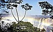 ... kaum zu toppen_die Wasserf�lle von IGUACU (CATARATAS del IGUAZ�_SALTOS do IGUA��_The IGUAZU FALLS)_ein JUWEL_Dreil�ndereck ARGENTINIEN / PARAGUAY / BRASILIEN 1986_Jochen A. H�bener