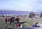 1986_working  as a short-time-expert in Montevideo at the R�o de la Plata, URUGUAY; task of my work: 'improvement of URUGUAY�s economic forecasts'_here: the bay of Montevideo from the 117m high hill 'CERRO', 'Parque del Cerro'_Jochen A. H�bener 