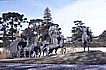... ein Monument, das einen Treck darstellt_viele Monumente in Montevideo erinnern an die Aufbruchzeit, an die Gr�nder- zeit, an Trecks, an sogen. 'Heroen', seien es nun Freiheits- k�mpfer, Gener�le, Gauchos, ein ausgestorbener Indio- stamm etc._URUGUAY 1986_Jochen A. H�bener 
