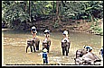 1996_THAILAND_reaching Golden Triangle by motorcycle with great difficulties_elephant camp_wonderful riding_my motorcycle-world-trip 1995/96_Jochen A. H�bener