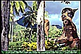 1996_POLYNESIA_MOOREA_a huge warrior, made out of wood, in tropical area, close to the beach on my so loved exotic island, vis-a-vis TAHITI_my motorcycle-trip around the world 1995-96_Jochen A. H�bener