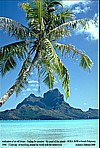 1996_POLYNESIA_Bora Bora_finding the paradise_view from a ... so called ... motu (island)_Jochen A. H�bener